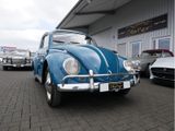 Volkswagen Käfer 1200 Dickholmer, Originalzustand - Volkswagen Oldtimer mit Benzin-Antrieb: Limousine