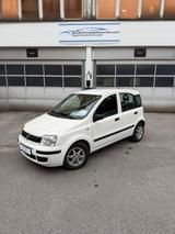 Fiat Panda 1.1 1. Hand Unfallfrei 1Jahr Garantie inkl - Fiat Panda Gebrauchtwagen in Wuppertal