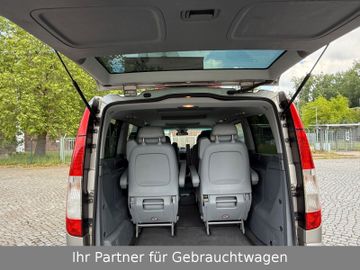 Mercedes Viano - 7