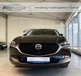 Mazda CX-30 Homura 2WD Autom., *LED *Kamera *Navi *ACC - Mazda CX-30 Gebrauchtwagen in Hamburg