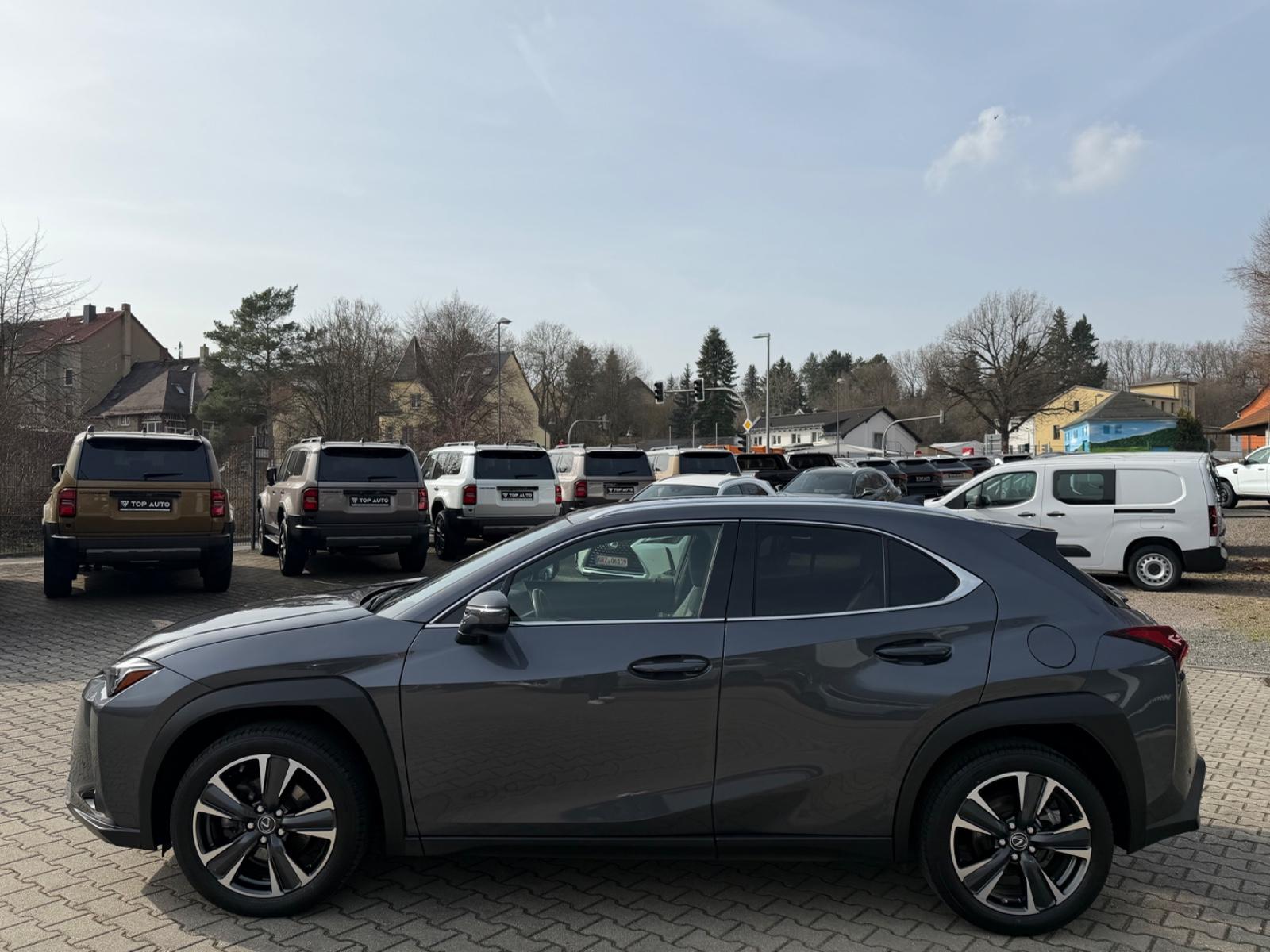 Lexus UX 250 h Style.LED.ACC.Kamera.