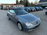 Mercedes-Benz CLK 350 Cabrio XENON-NAVI-MEMORY-H&K-LEDER-MFL - Mercedes-Benz CLK 350 Gebrauchtwagen
