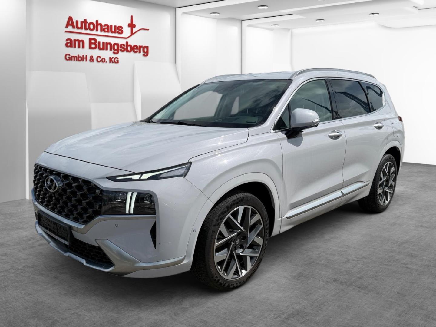 Hyundai SANTA FE 2.2 CRDi Signature 4WD Leder Navi AHK