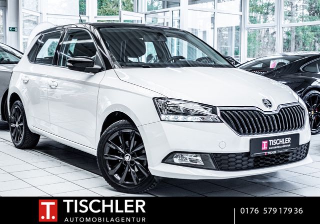 Skoda Fabia Ambition*AppleCar*R-Kam*Sitz-Hz*PDC*Klima*