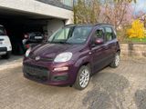 Fiat New Panda 0.9 8V TwinAir LOUNGE Natural Powe... - Fiat New Panda von privat
