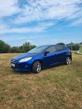 Ford Focus 1,6TDCi 85kW DPF SYNC Edition SYNC Edition - Ford Focus mit Diesel-Antrieb: 1.6