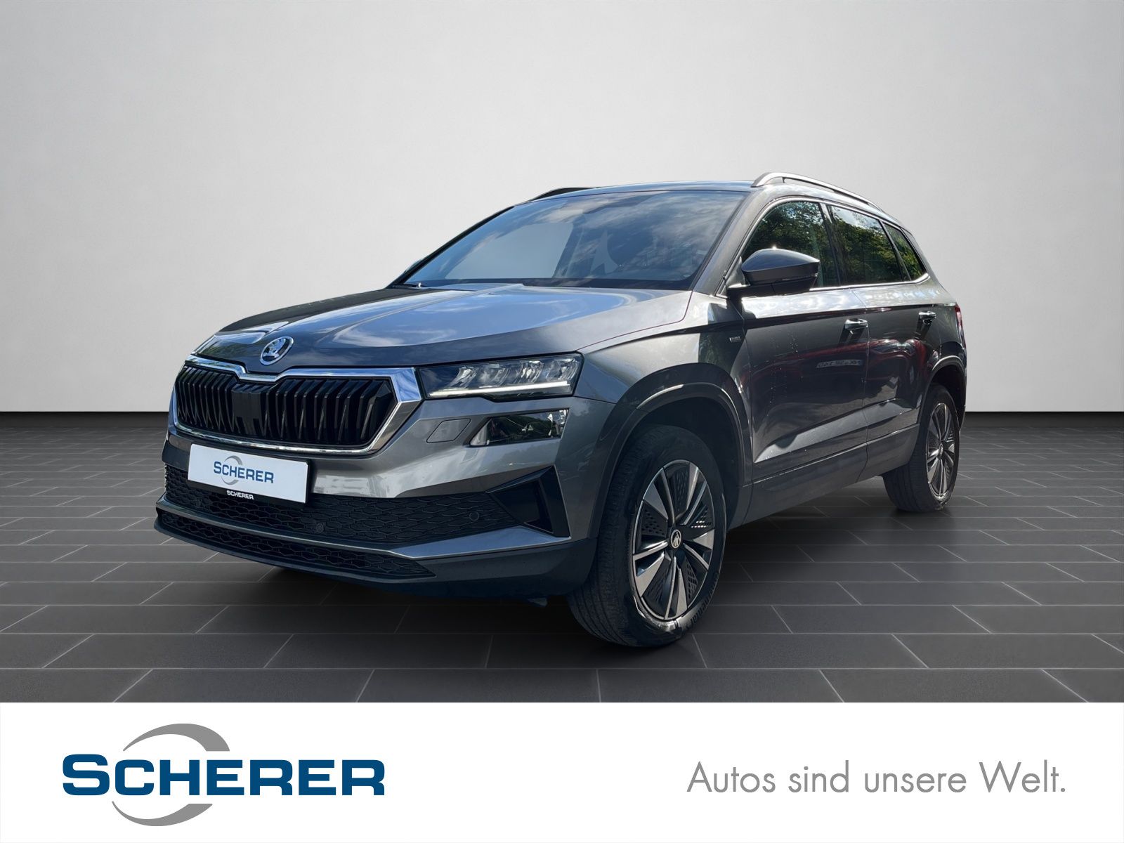Skoda Karoq Ambition 2.0 TDI, DSG, 4,99%, NAVI, RFK, S