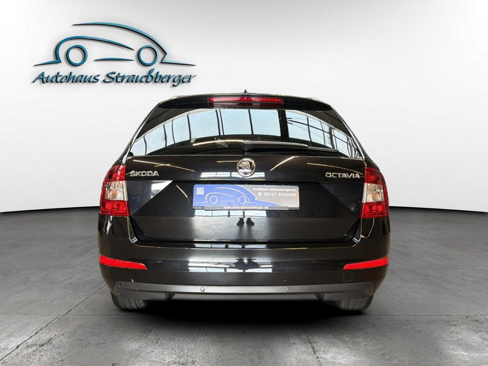 Skoda Octavia/Temp/PDC/ErsteHand/2-Zonen/SHZ/Kurvlicht