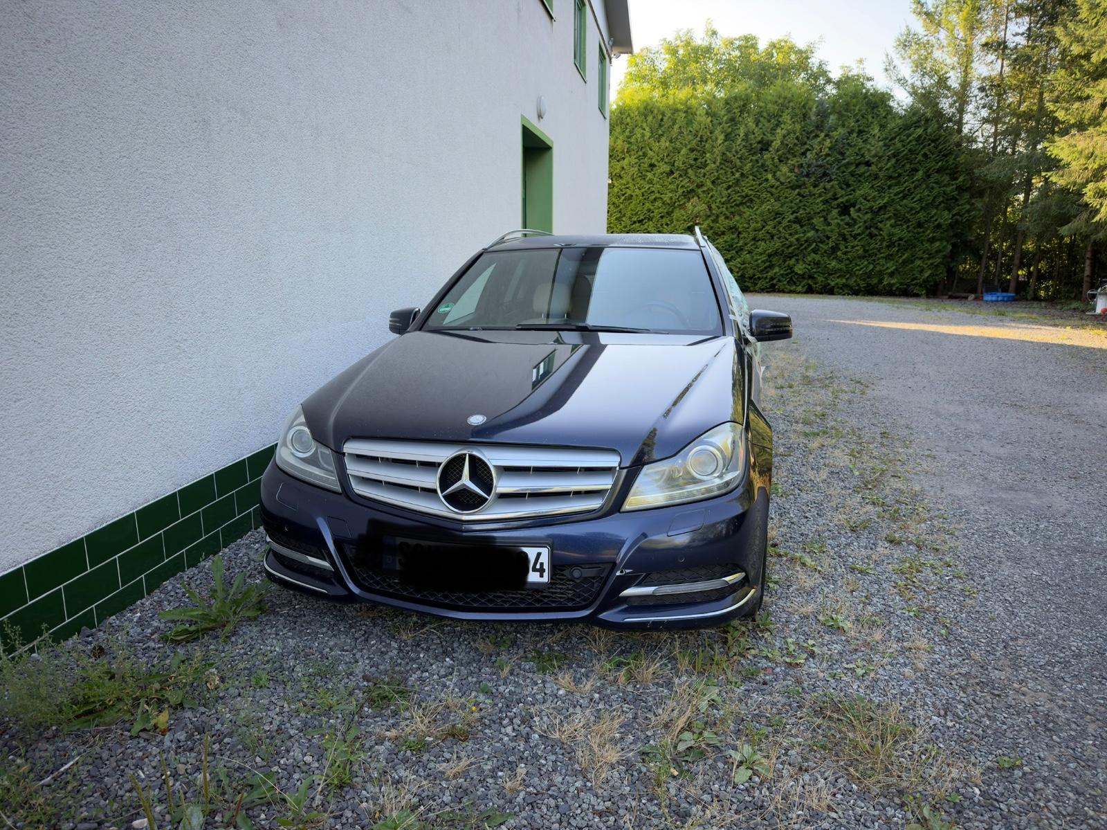 Mercedes-Benz 220, 2013
