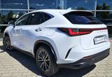 Lexus NX 450h+ Executive Interieur & Technologie-Paket - Lexus: Nx
