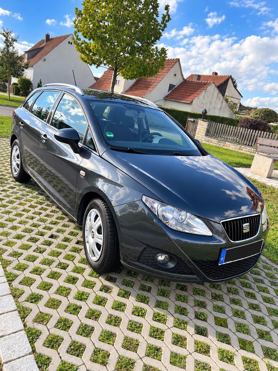 Seat Ibiza 2011 — вигляд ззаду