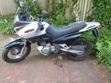Suzuki Freewind  XF  650 - SUZUKI FREEWIND