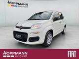 Fiat Panda Pop 1.0*KLIMA*PDC*RADIO*BLUETOOTH*