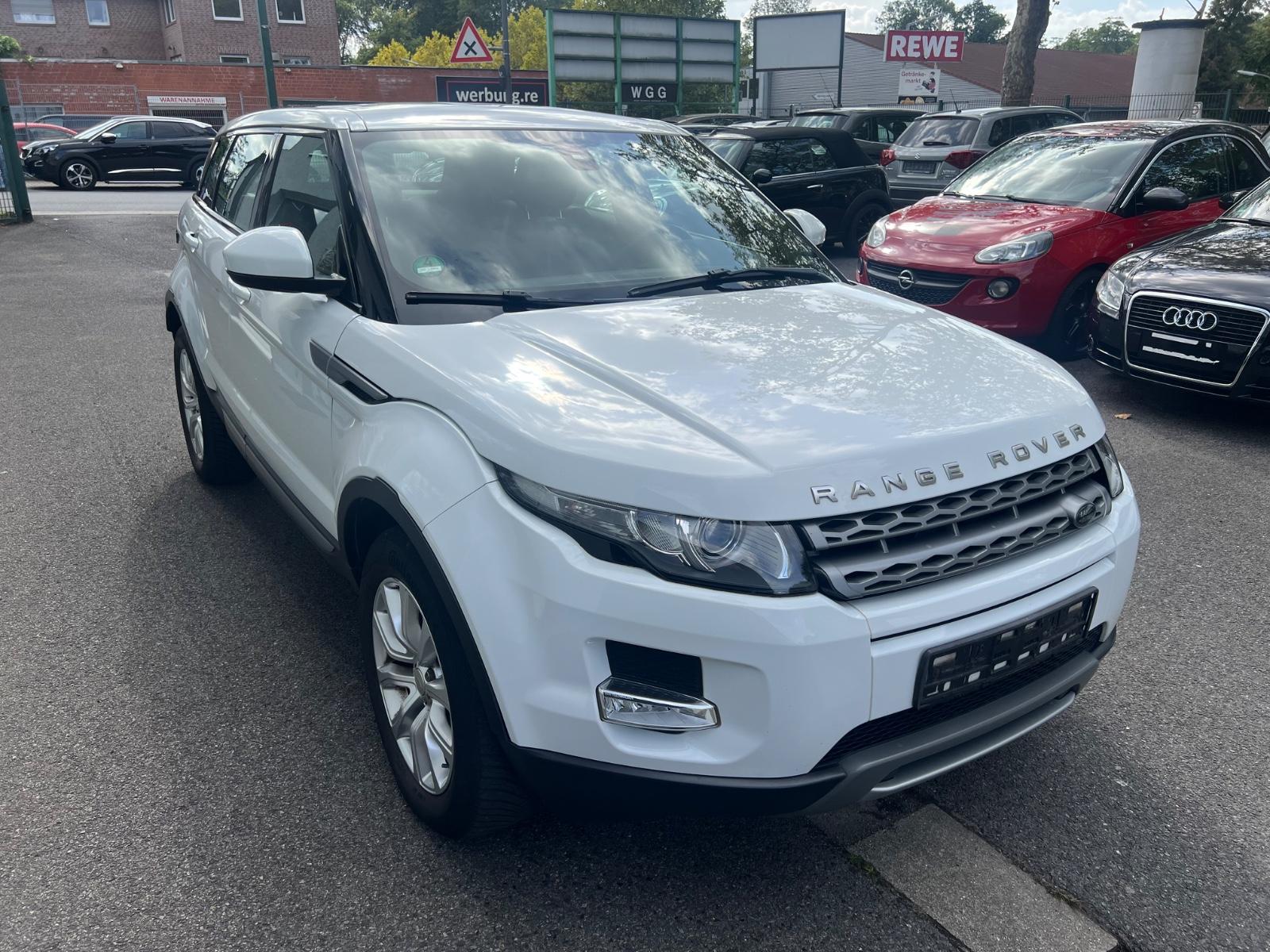 Land Rover Range Rover Evoque Pure"Klimaaut."SHZ"Teilleder"