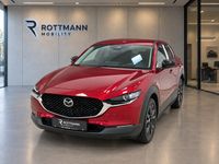 Mazda CX-30 - Vorschau Bild 3
