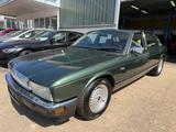 Jaguar XJ40 Sovereign - Jaguar XJ40 mit Benzin-Antrieb