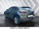 Mazda CX-30 SKYACTIV-G 2.0 M-Hybrid 150 SELECTION Navi - Mazda CX-30 Gebrauchtwagen in Berlin