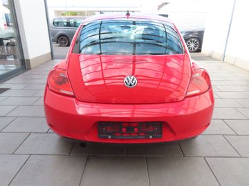 Volkswagen Beetle - 5