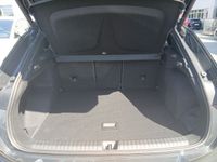 Cupra Terramar - Vorschau Bild 16