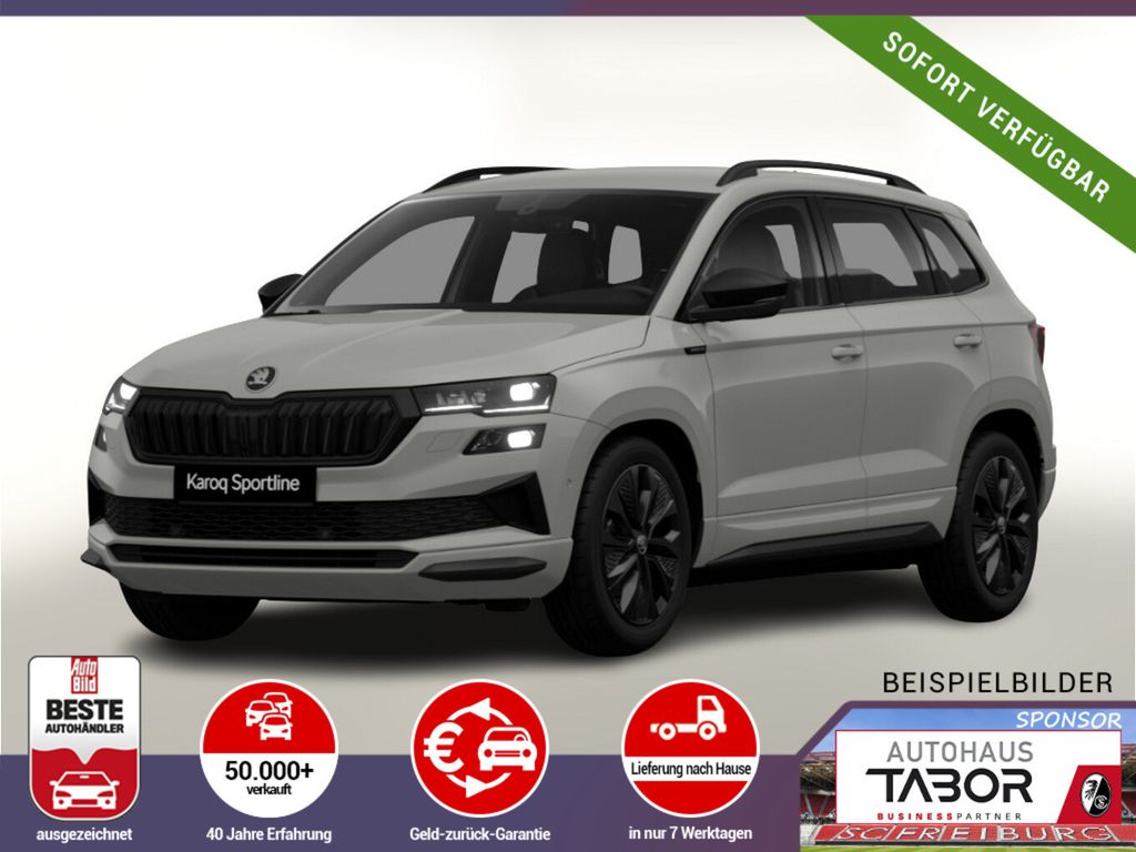 Image of Skoda Karoq