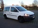 Volkswagen Caddy Kasten/Kombi ,Klima, Standheizung,AHK - VW Caddy bis 15.000 Euro
