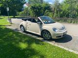 Volkswagen New Beetle 1.4 United Cabriolet, neues Verdeck  - Volkswagen New Beetle mit Benzin-Antrieb: Cabrio, 1.4