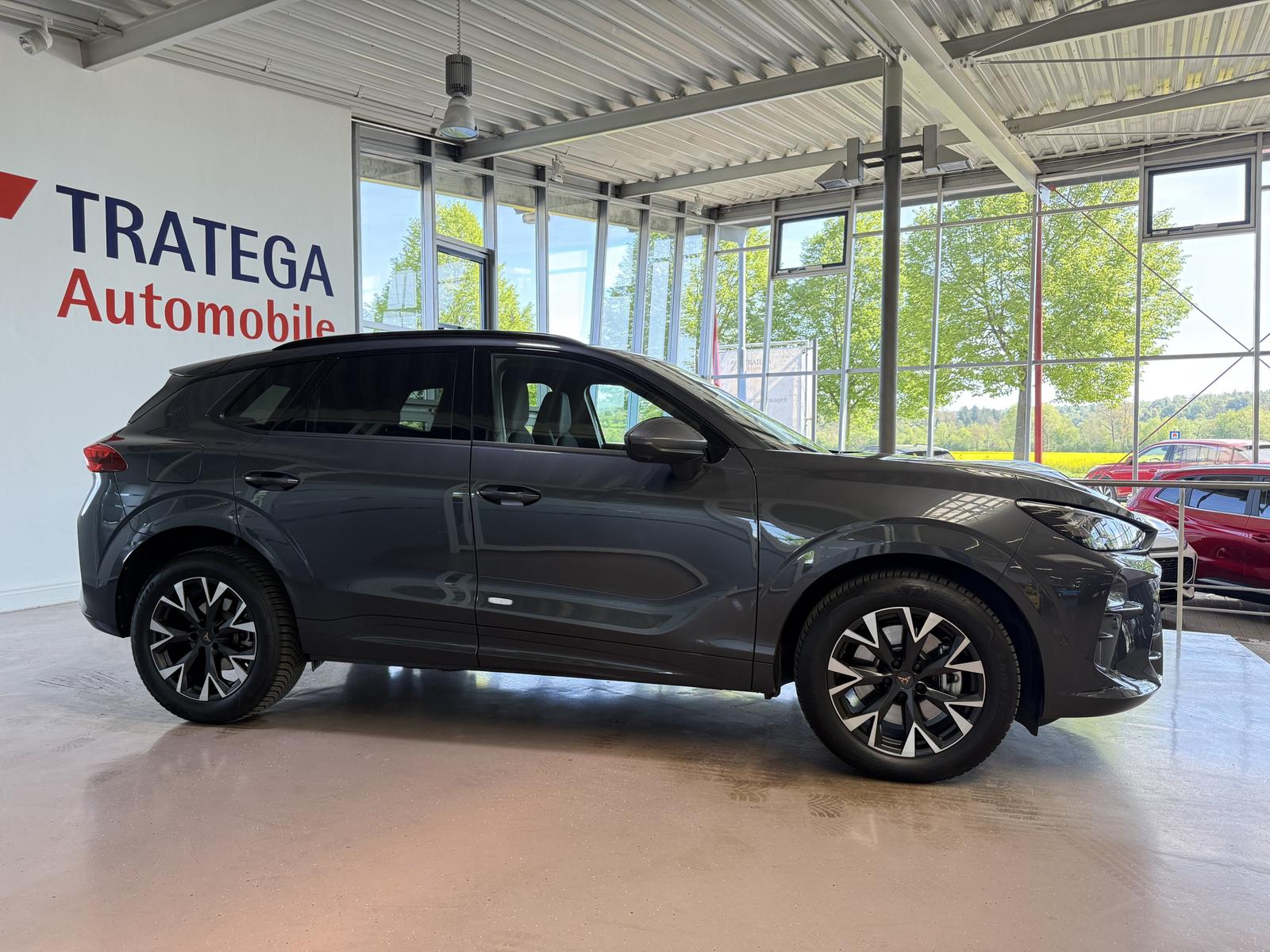 Cupra Terramar 2.0 TSI 4Drive AHK Pano HUD 360° Matrix