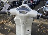 Vespa Primavera 50 YACHT CLUB limitiert NUR 846 KM - VESPA 50 N