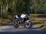 Yamaha FZ1-N - RN16 - YAMAHA FZ1N