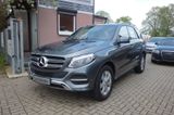 Mercedes-Benz GLE 250 d 4Matic AHK Kamera