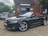 Audi A5 Cabriolet 3.0TDI S-Line quattro SITZBELÜF/KAM - Audi A5 aus 2010: Line
