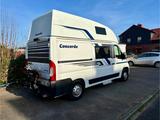 Concorde Compact  | EZ 2019 | 57.000 km | 130 PS | AHK - Offers matching your search criteria