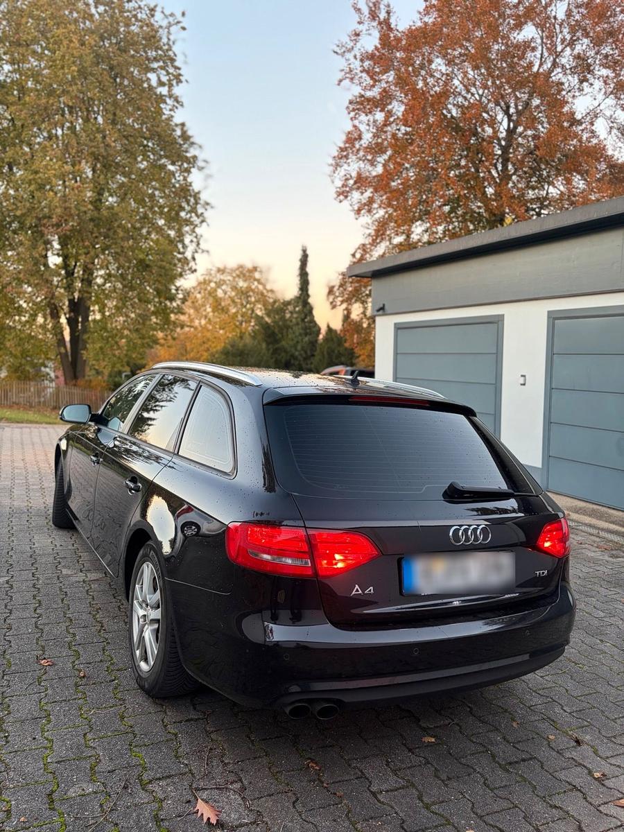 Audi A4 2013 — салон