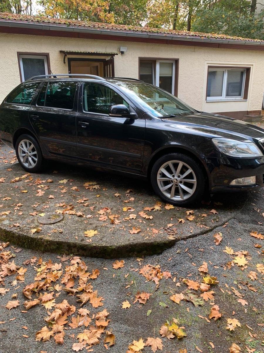 Skoda Octavia 2011 — rear view