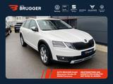 Skoda Octavia Combi Scout 2.0 TDI DSG 4x4 NAVI LED AHK - Skoda: Combi Scout