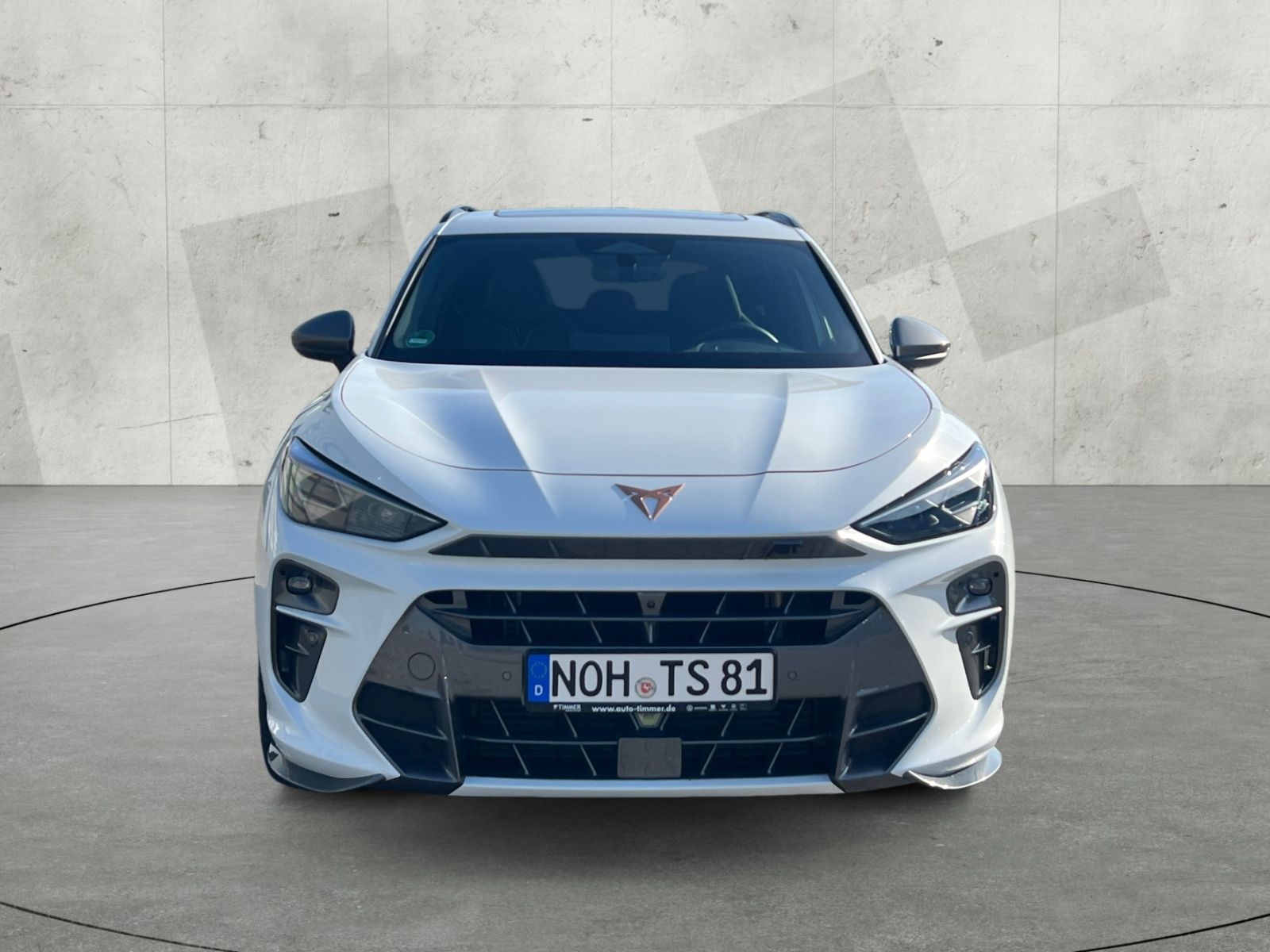 Cupra Terramar - Bild 9