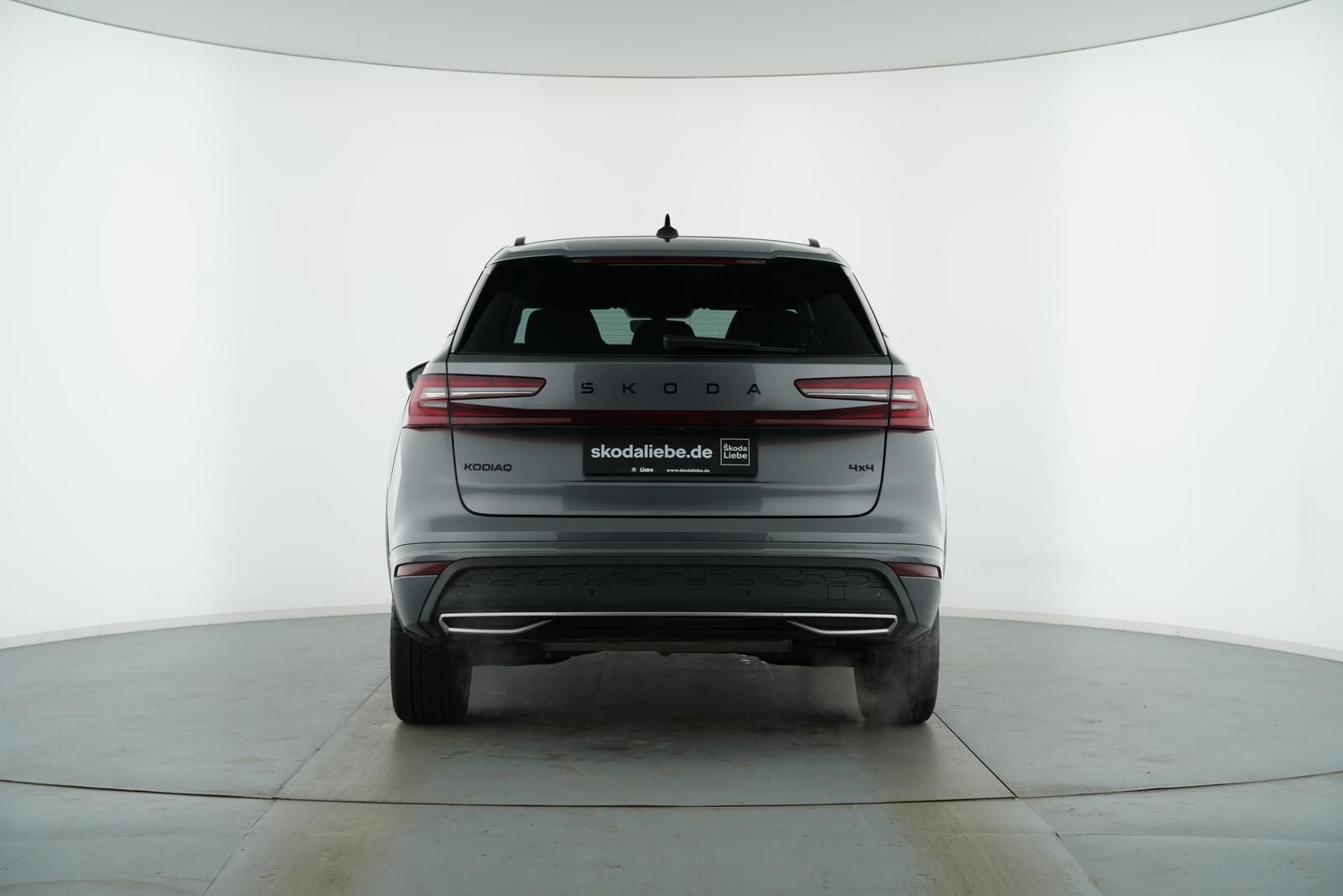 Skoda Kodiaq - Bild 6