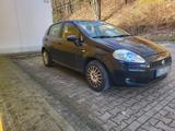 Fiat Punto 1.2 - Fiat Punto in Hagen