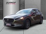 Mazda CX-30 Selection 2WD - Mazda aus 2020
