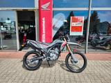 Honda CRF 300 L 2025 sofort lieferbar