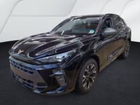 Cupra Terramar - Vorschau Bild 2