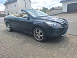 Ford Focus cc Cabrio vollausstatt - Ford Escort: V