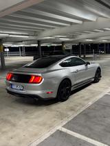 Ford Mustang 2.3 EcoBoost Auto - TOP GEPFLEGT - Wenig - silberne Ford Mustang
