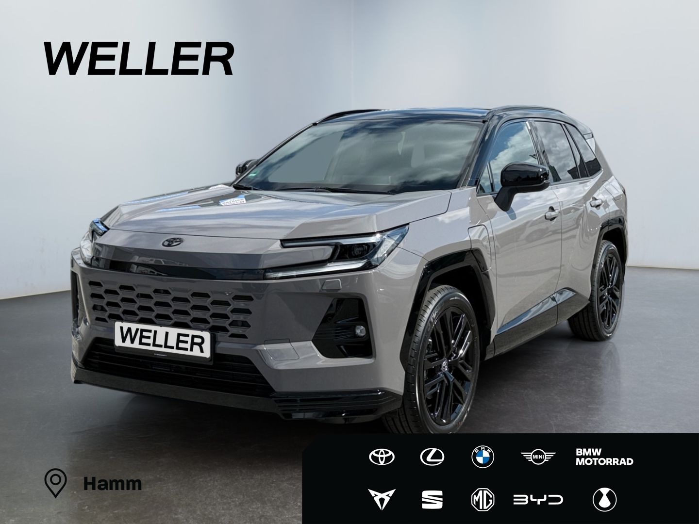Toyota RAV 4 *Plug-In *Head-Up *360 *Sitzlüftung *Memor