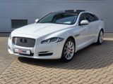 Jaguar XJ 3.0 V6 Premium Luxury  Pano/LED/Virtual C.