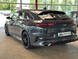 Kia pro cee'd / ProCeed - Kia pro cee'd / ProCeed aus 2020