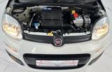 Fiat Panda More*1,2-51KW*I.HAND*KLIMA*ESP*SERVO*ABS*+ - Fiat Panda Gebrauchtwagen