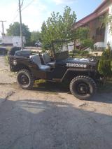 Jeep Willys - Jeep Willys von privat