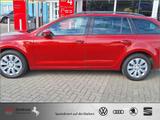 Skoda Octavia 1.0 TSI Green tec Joy AHK BOLERO-Sound - Skoda Octavia mit Benzin-Antrieb: Joy