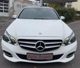 Mercedes-Benz E 250 E -Klasse  BlueTec 4Matic PANORAMA AUTOMAT - Mercedes-Benz E 250: 4matic